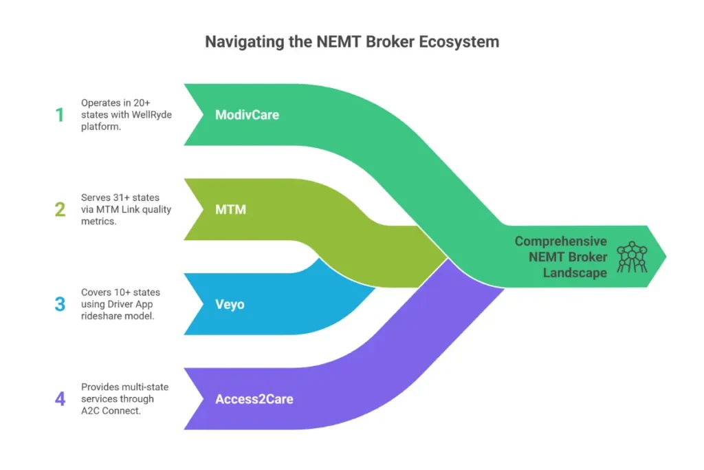 Infographic showing the four major NEMT brokers ModivCare MTM Veyo and Access2Care with their coverage areas and key features