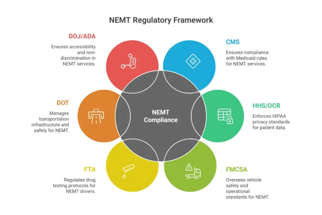 Federal agencies regulating NEMT providers including CMS, FMCSA, HHS, FTA, and DOT with their compliance areas