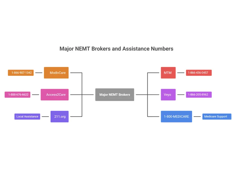 Contact information card for major NEMT brokers including ModivCare, MTM, Access2Care, and Veyo with phone numbers
