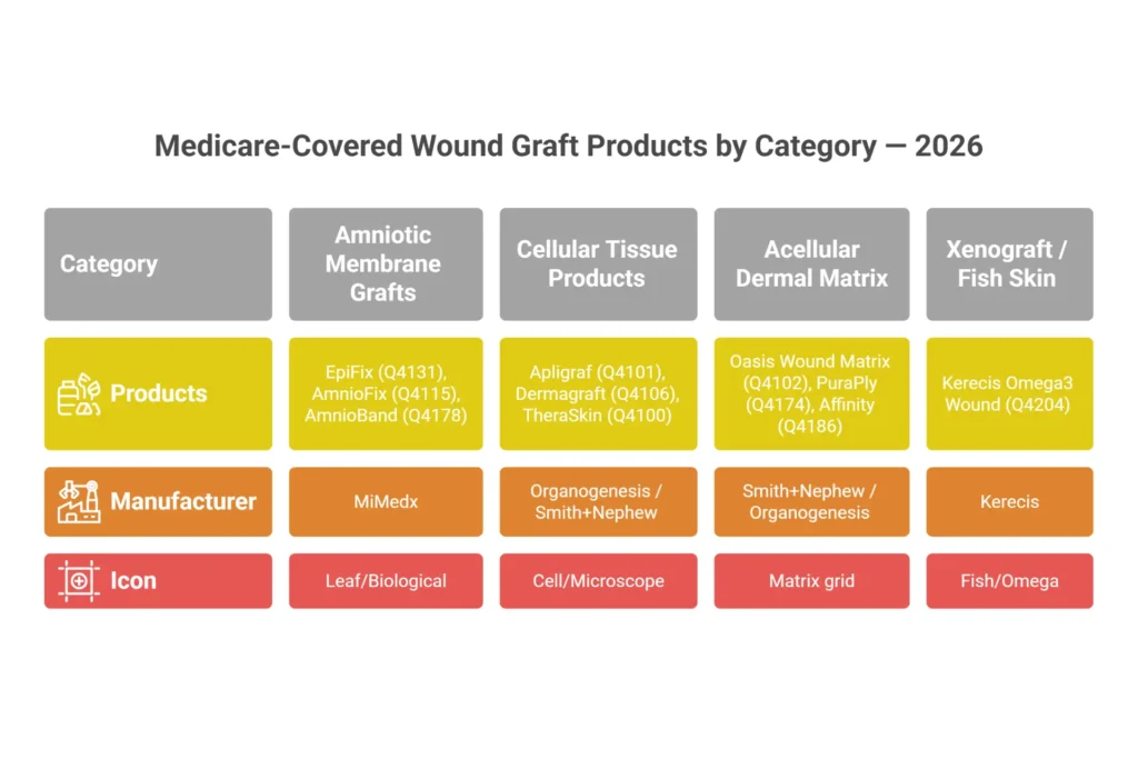 Infographic of Medicare covered wound graft products by category with Q-codes — amniotic, cellular, acellular, and xenograft products 2026